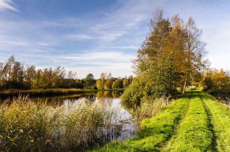 Ferienwohnung Heideschwedin Eschede Bagian luar foto