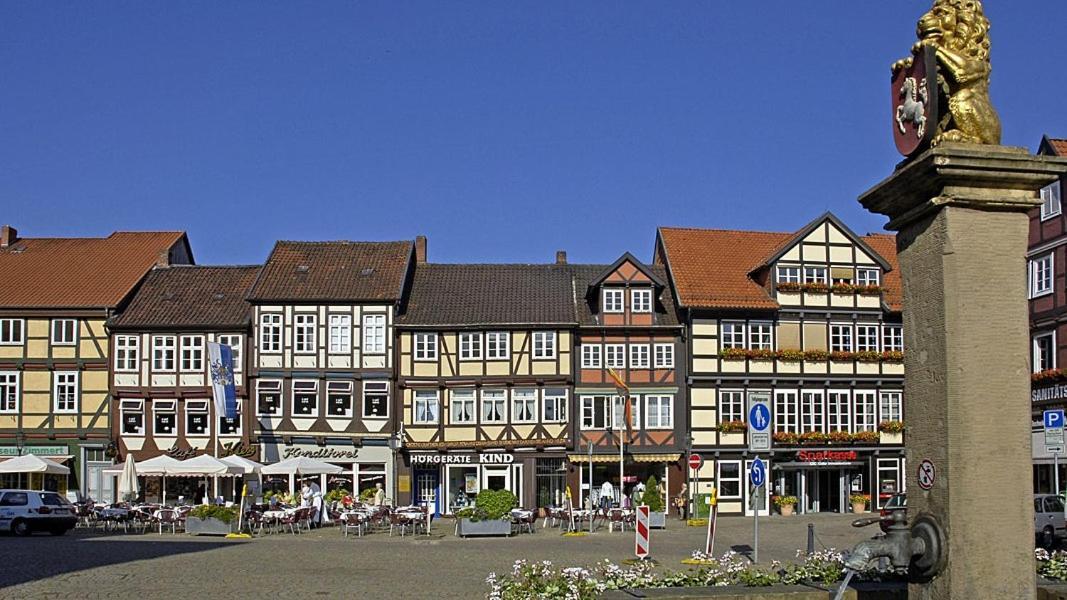 Ferienwohnung Heideschwedin Eschede Bagian luar foto